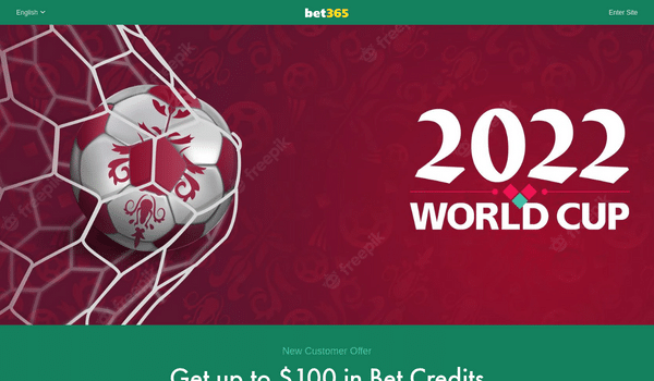Bet365 World Cup Gambling App