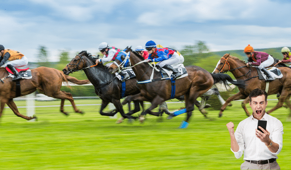 Malaysia Horse Racing Guide For Beginner