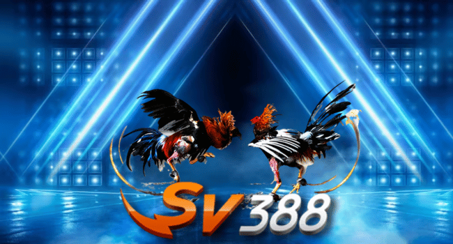 SV388 Cockfight Game Betting Tips For Beginner