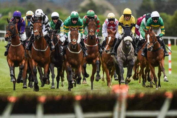 Horse Racing Betting